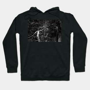 snowy Oregon forest 7 Hoodie